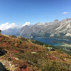 comp_IMG_1859