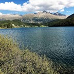 comp_IMG_1861
