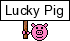 :pig: